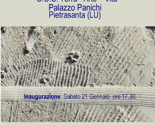 Fragili Bellezze – SOS Terra. Arte. Vita. Mostra collettiva dell’ associazione ASART, Palazzo Panichi, Pietrasanta, Italia, gennaio – febbraio 2012