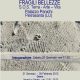 Fragili Bellezze – SOS Terra. Arte. Vita. Mostra collettiva dell’ associazione ASART, Palazzo Panichi, Pietrasanta, Italia, gennaio – febbraio 2012